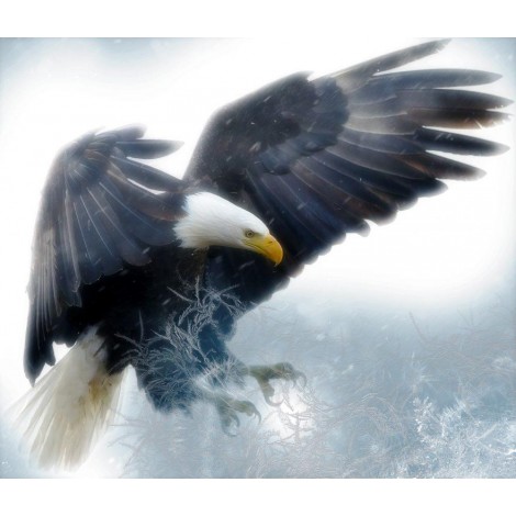 Bald Eagle Diamond Painting Kit