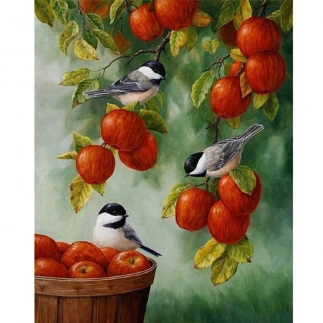 Apple Birds Diamond Painting Kit