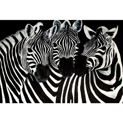 Animal Zebra Diamond Painting Kit