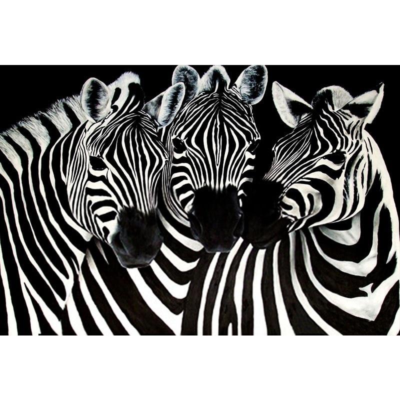 Animal Zebra Diamond...