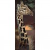 Animal Kingdom Lions Tigers Zebra And Giraffes Diamond Painting Kit