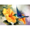 Animal Hummingbird Diamond Painting Kit