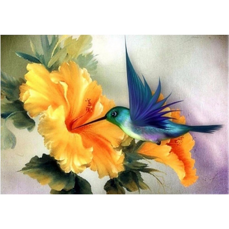 Animal Hummingbird D...