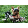 Yorkie Motorized New Diamond Painting Kit