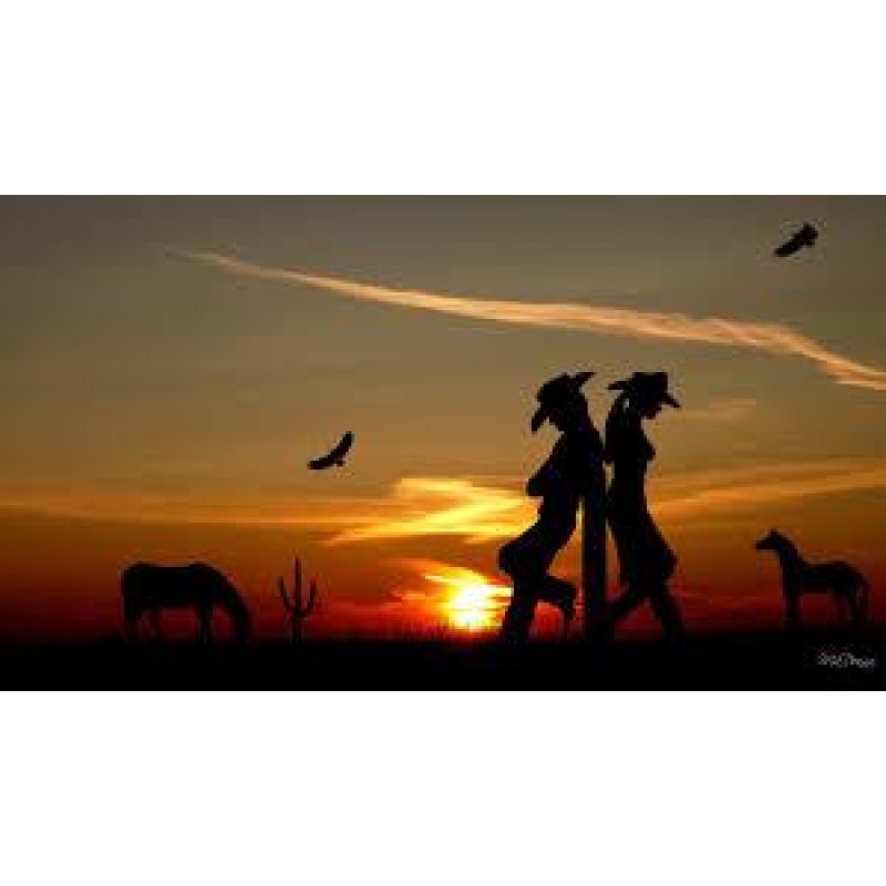 Western Cowboy Diamo...