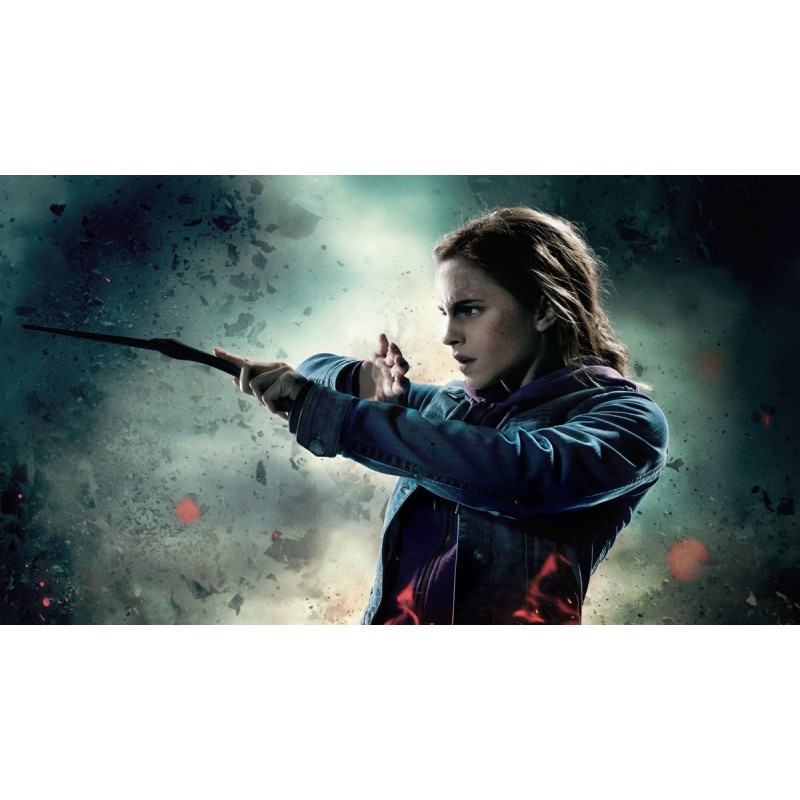 5d Harry Potter Diam...