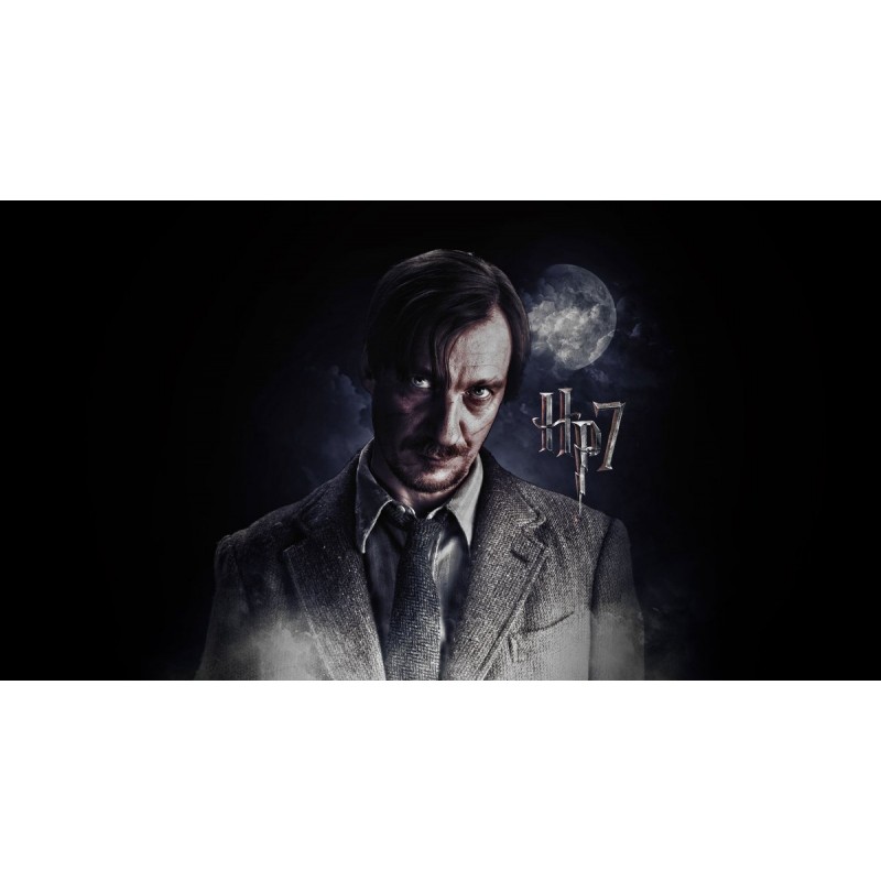 5d Harry Potter Diam...