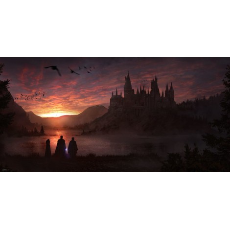 5d Harry Potter Diamond Painting Kit Premium-22