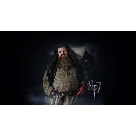 5d Harry Potter Diamond Painting Kit Premium-19