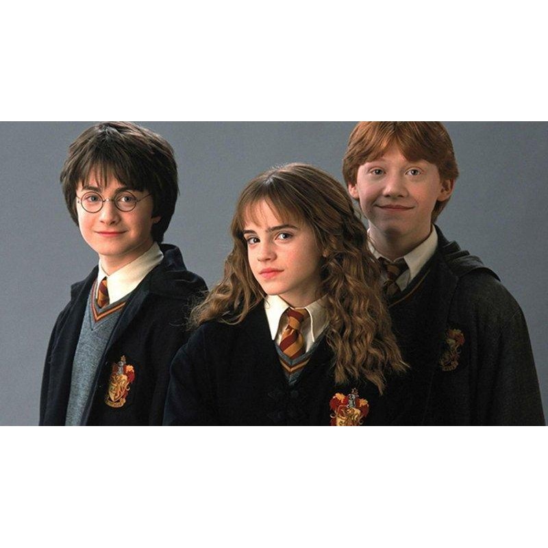 5d Harry Potter Diam...