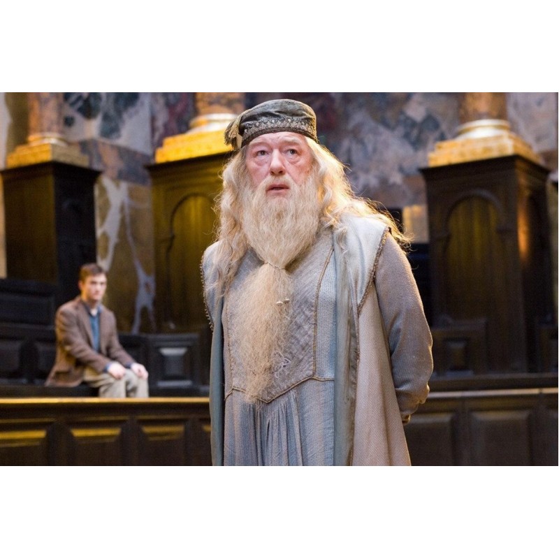 5d Harry Potter Diam...