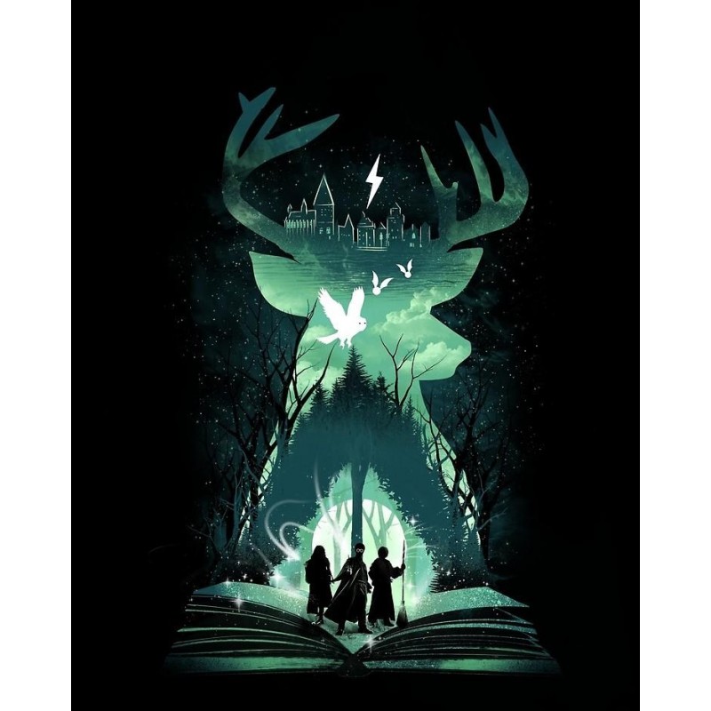 5d Harry Potter Diam...