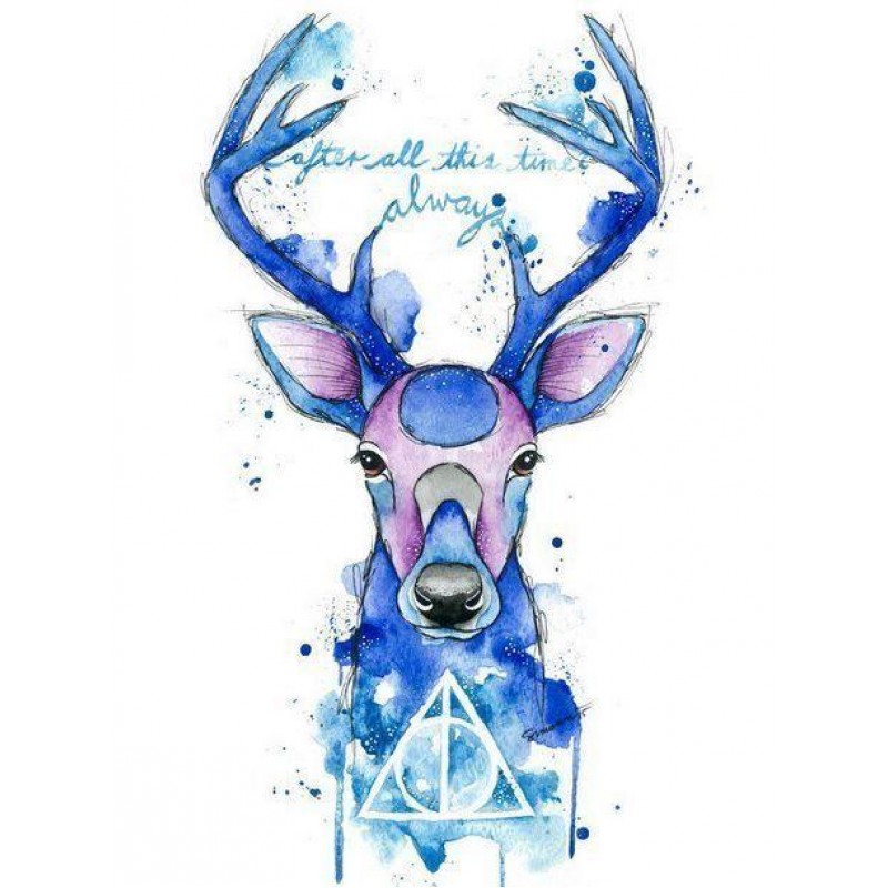 5d Harry Potter Diam...