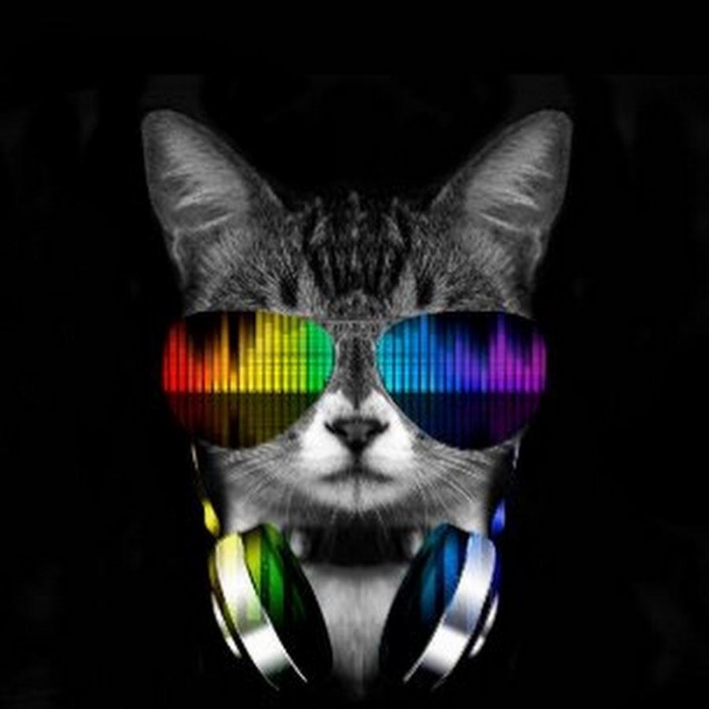 5d Cat Diamond Paint...