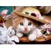 5d Cat Diamond Painting Kit Premium-85