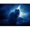 5d Cat Diamond Painting Kit Premium-84