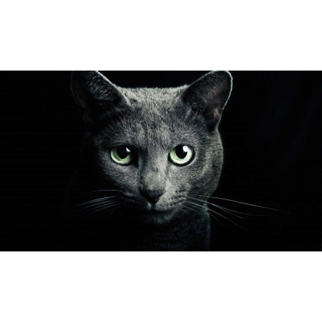 5d Cat Diamond Painting Kit Premium-81