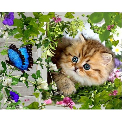 5d Cat Diamond Painting Kit Premium-72