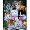5d Cat Diamond Painting Kit Premium-71