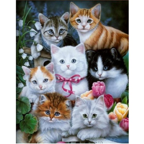 5d Cat Diamond Painting Kit Premium-71