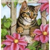 5d Cat Diamond Painting Kit Premium-65