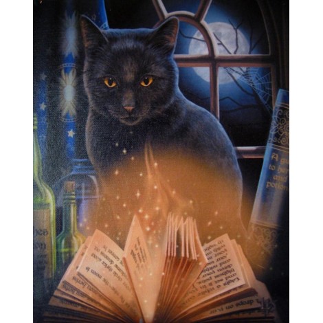 5d Cat Diamond Painting Kit Premium-44