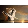 5d Cat Diamond Painting Kit Premium-2