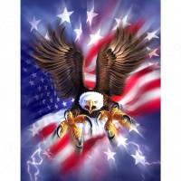 Eagle American Flag Diamo...
